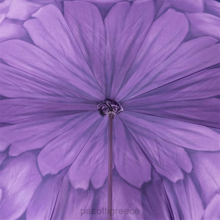 ομπρέλα | PASOTTI 189n 21065-71 s13 - μωβ ομπρέλα ντάλια διπλό ύφασμα 2N6B8382 γυναίκες